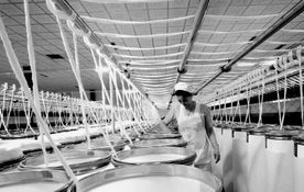 產(chǎn)業(yè)轉(zhuǎn)型與市場變遷 解讀數(shù)千工廠歇業(yè)背后的國內(nèi)貿(mào)易挑戰(zhàn)與機遇